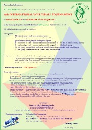 Information volleyball tournament 2002 - PDF