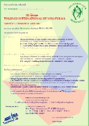 Information Tournoi de volleyball 2002 - PDF